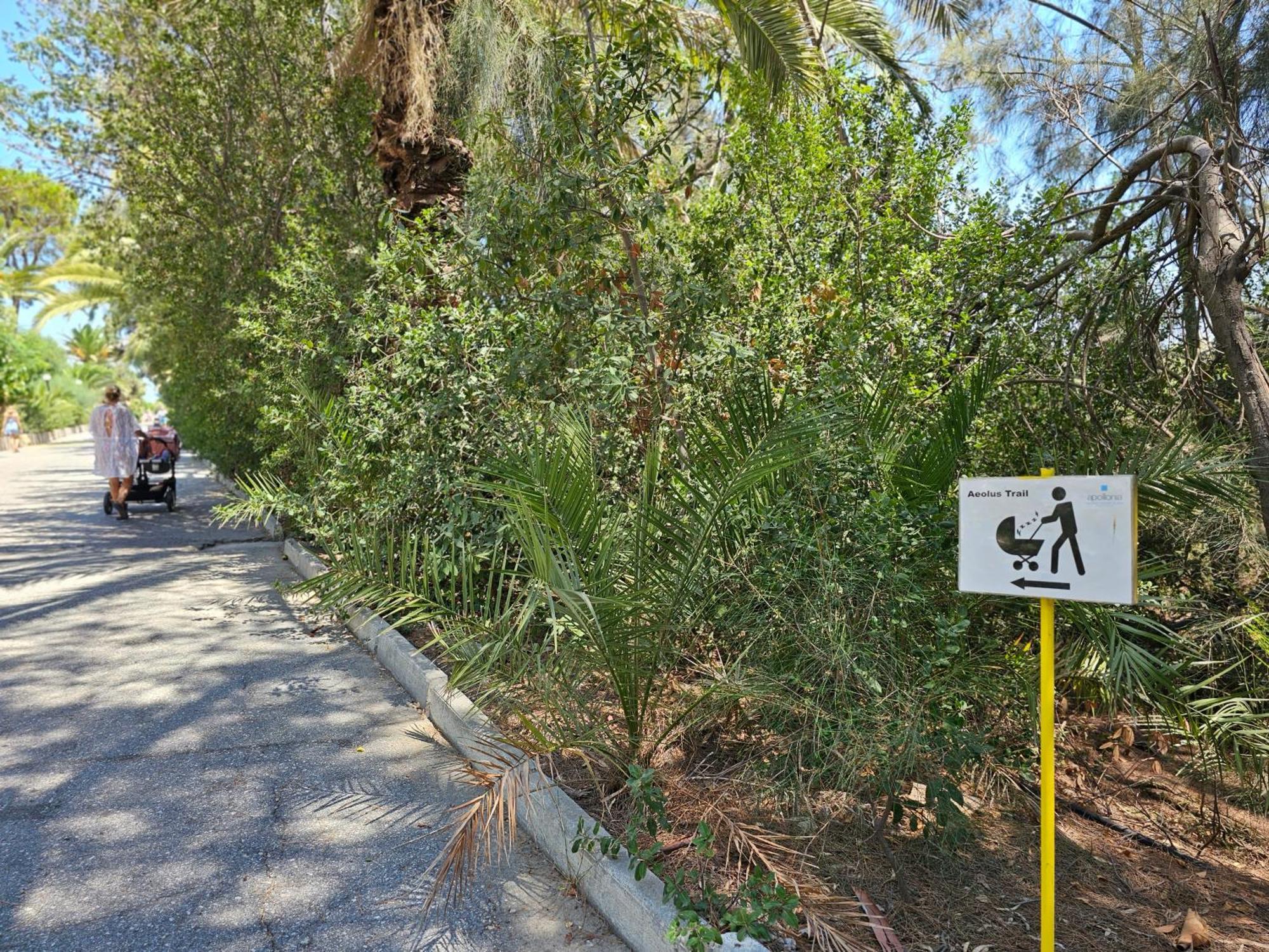 Apollonia Beach Resort & Spa Amoudara Lasithiou Buitenkant foto